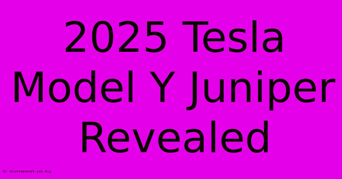 2025 Tesla Model Y Juniper Revealed