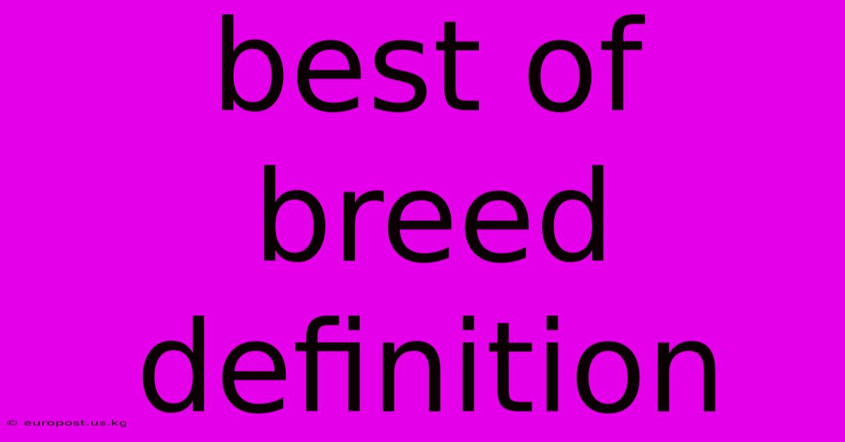 Best Of Breed Definition