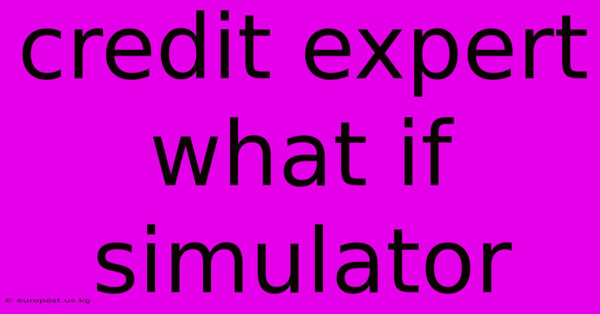 Credit Expert What If Simulator