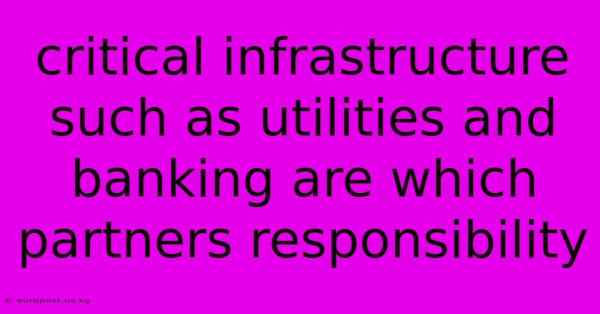 Critical Infrastructure Such As Utilities And Banking Are Which Partners Responsibility