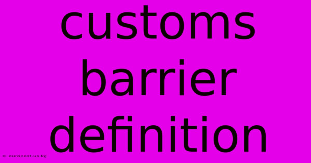 Customs Barrier Definition