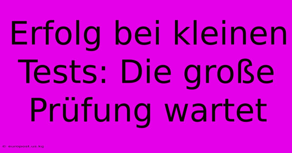 Erfolg Bei Kleinen Tests: Die Große Prüfung Wartet