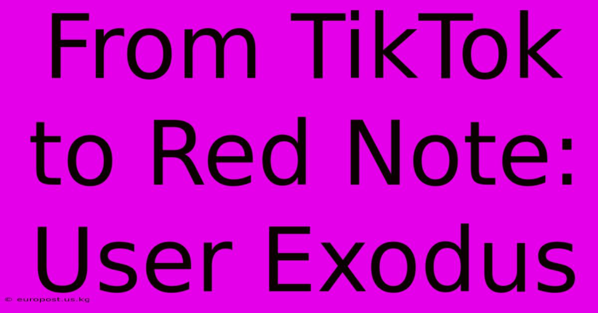 From TikTok To Red Note: User Exodus