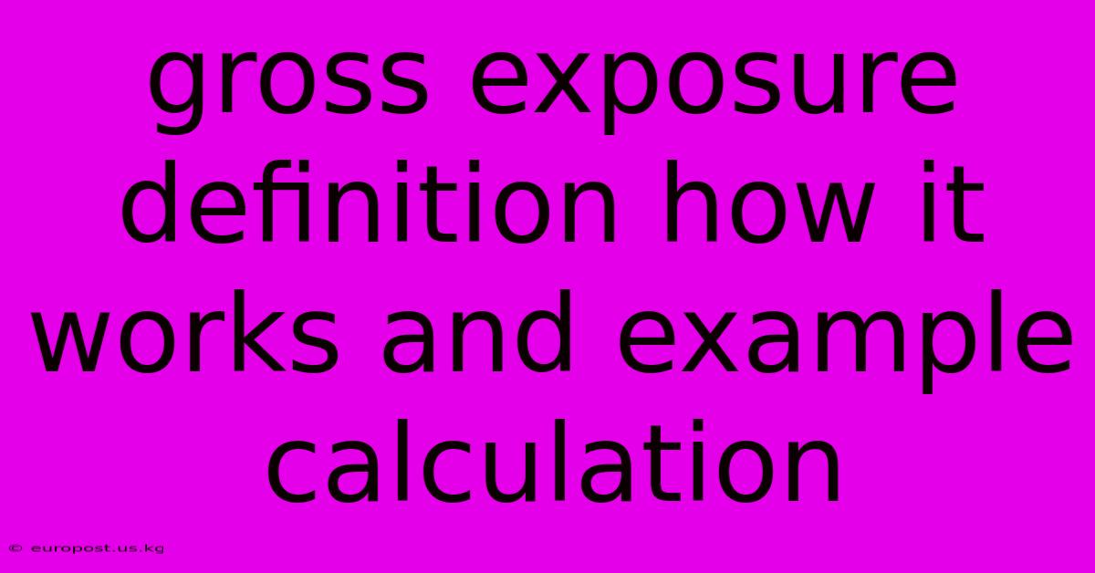 Gross Exposure Definition How It Works And Example Calculation