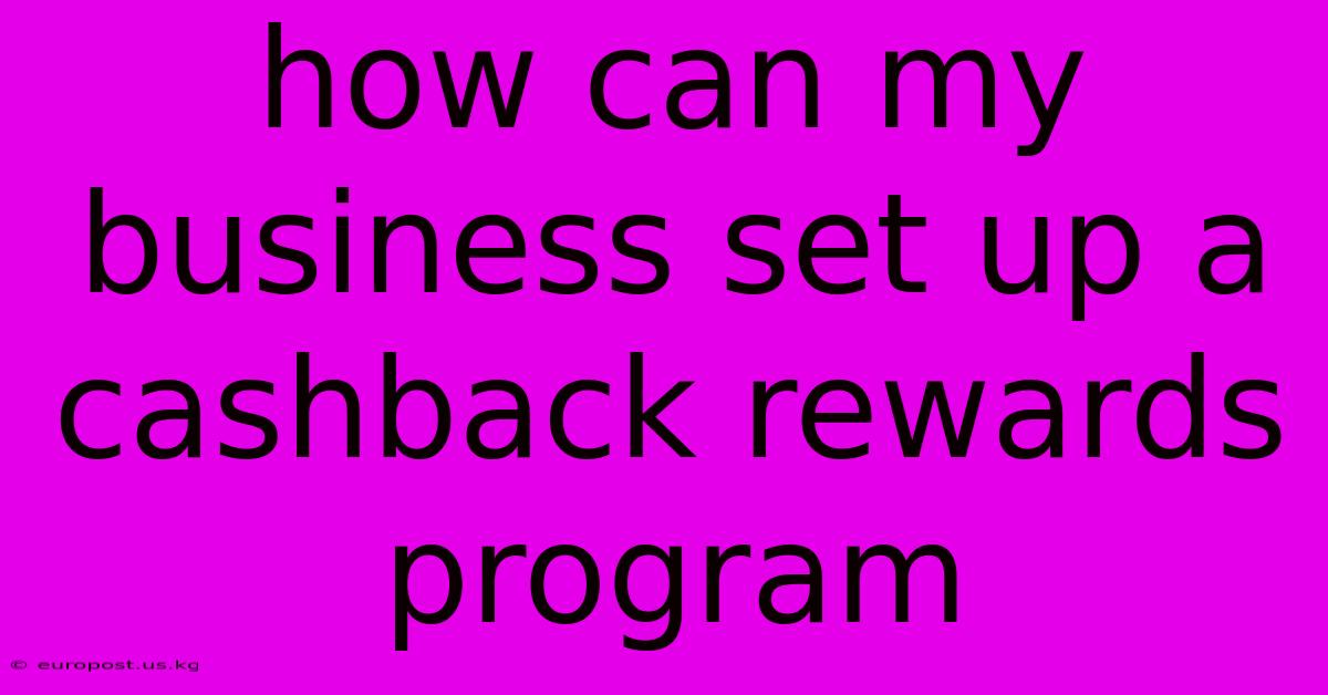 How Can My Business Set Up A Cashback Rewards Program