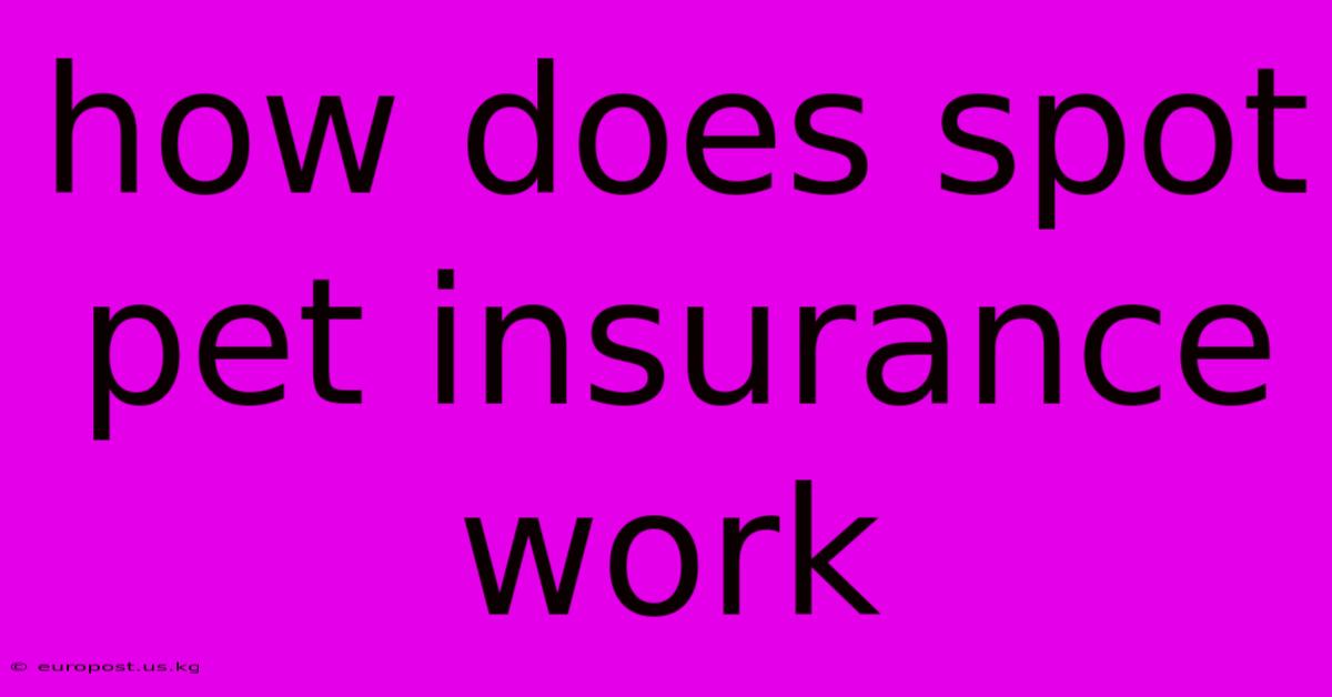 How Does Spot Pet Insurance Work