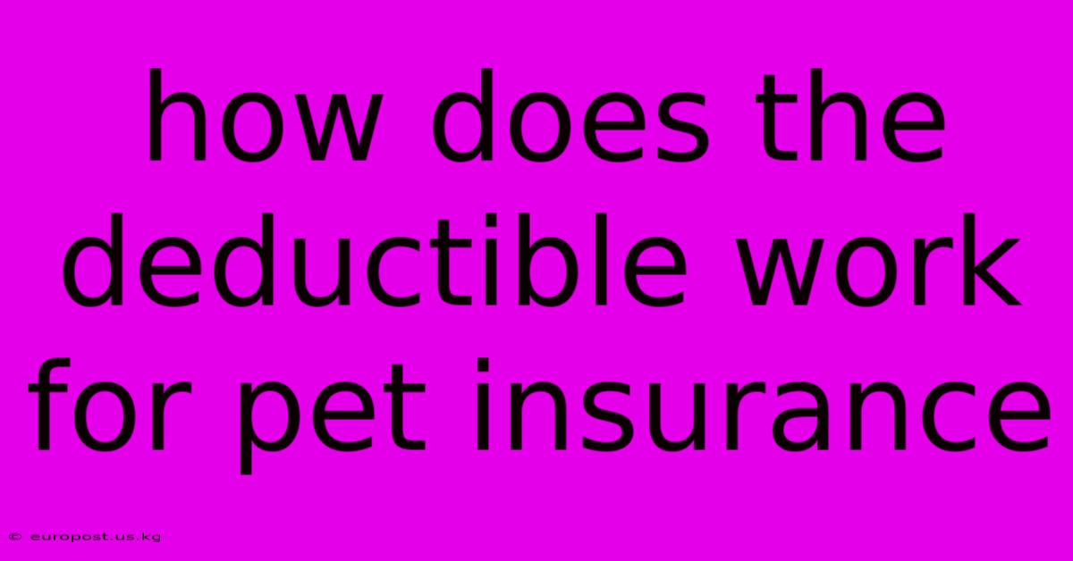 How Does The Deductible Work For Pet Insurance