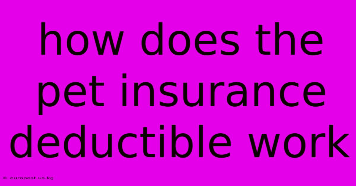 How Does The Pet Insurance Deductible Work