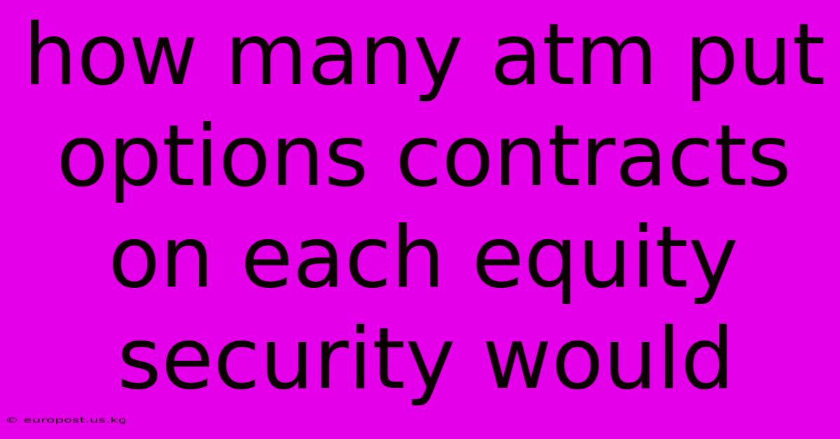 How Many Atm Put Options Contracts On Each Equity Security Would