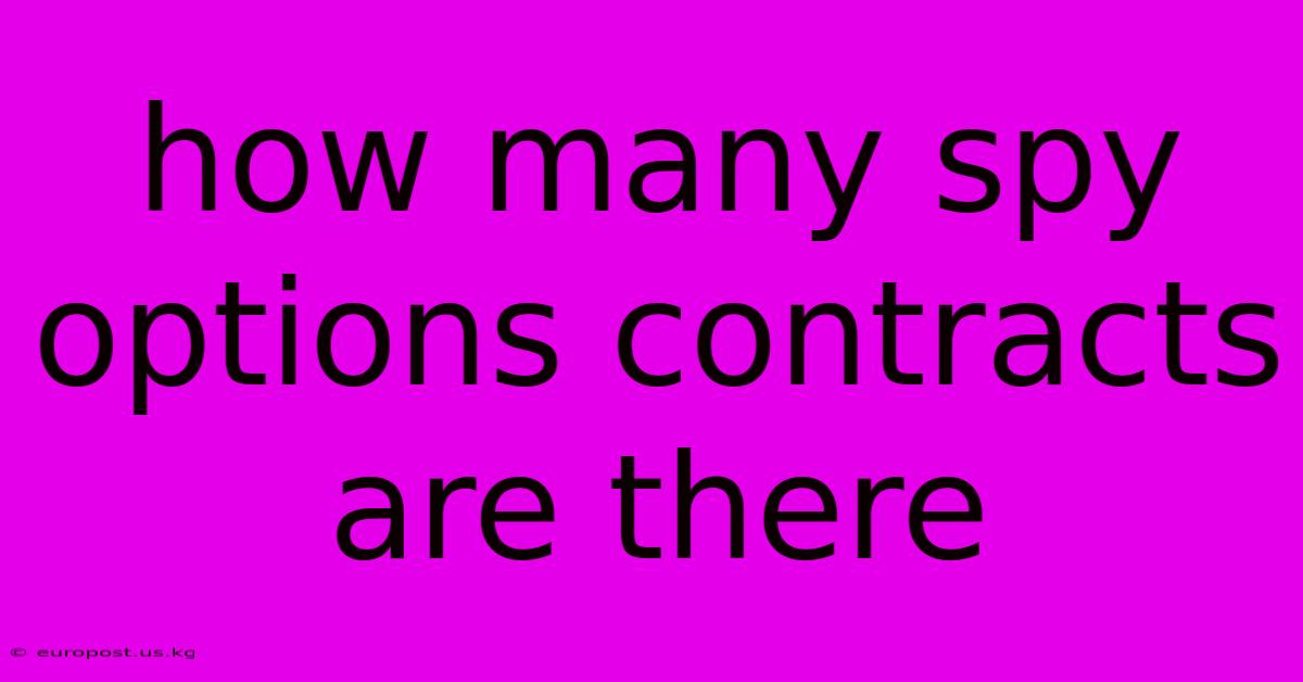 How Many Spy Options Contracts Are There