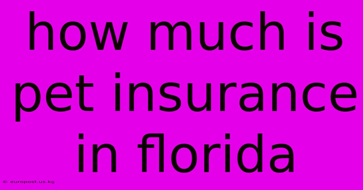 How Much Is Pet Insurance In Florida