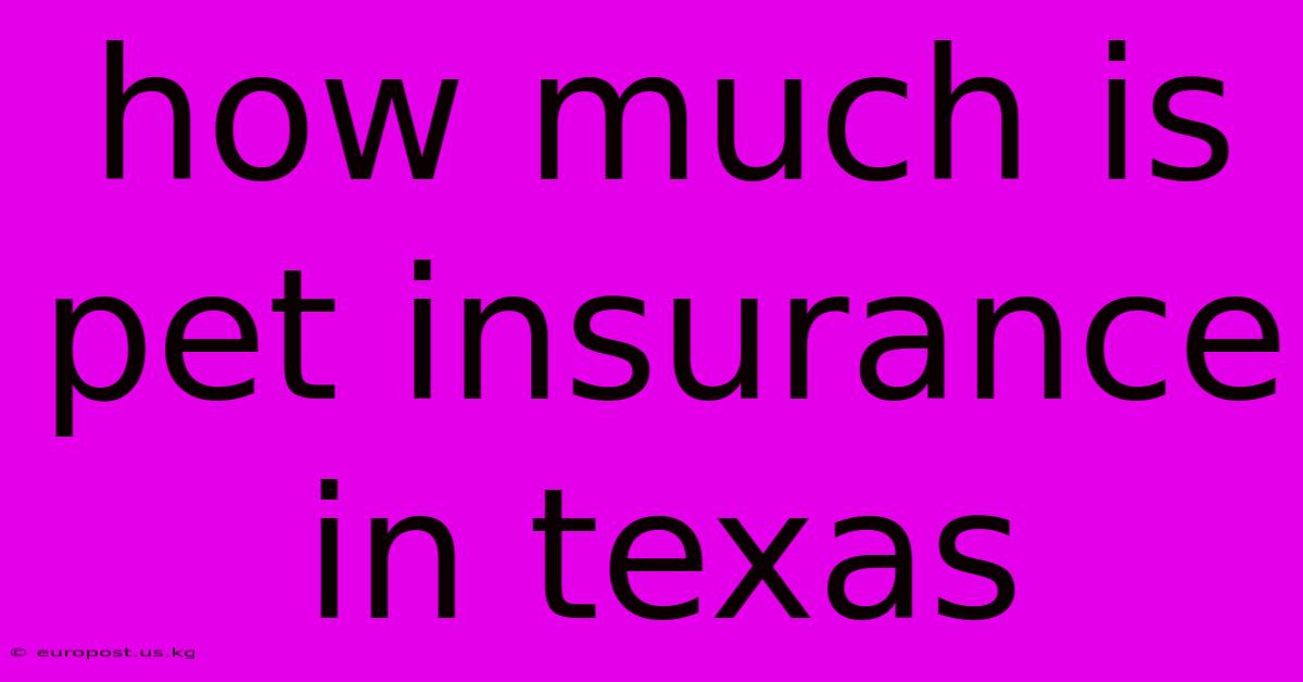 How Much Is Pet Insurance In Texas