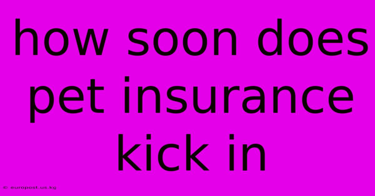 How Soon Does Pet Insurance Kick In