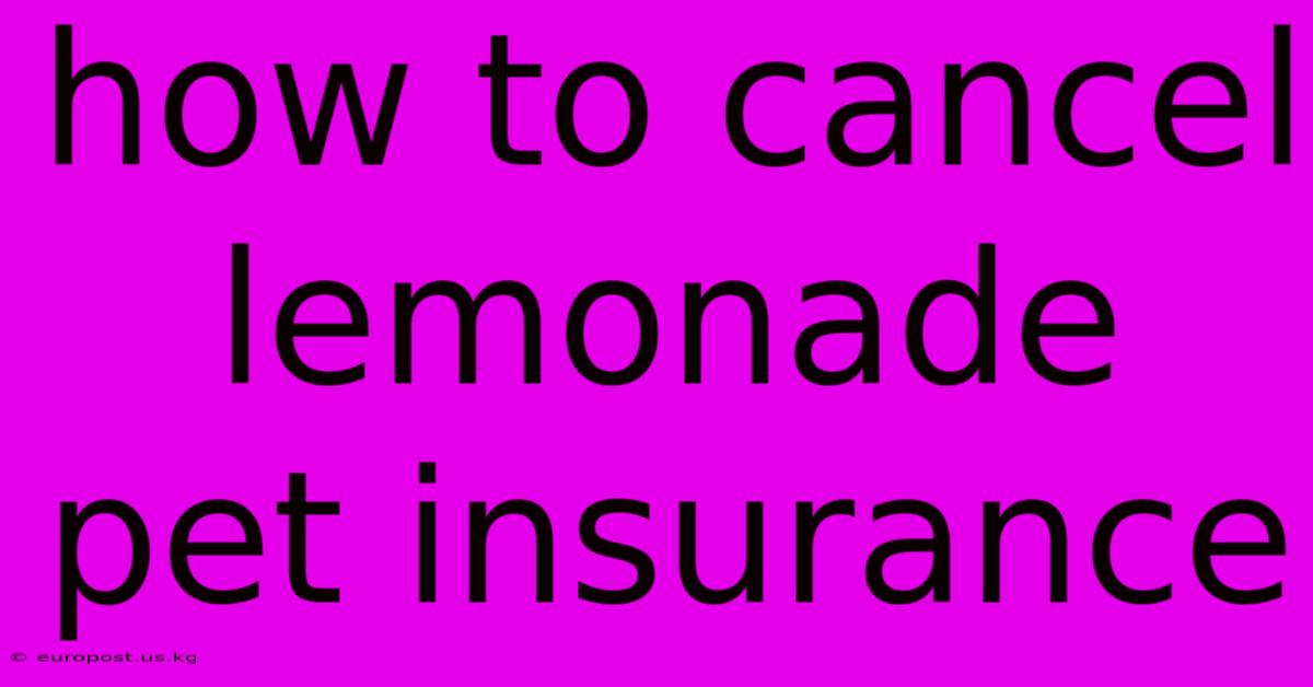 How To Cancel Lemonade Pet Insurance