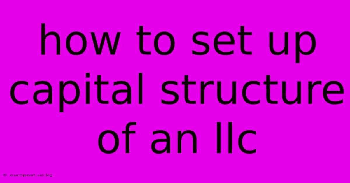 How To Set Up Capital Structure Of An Llc