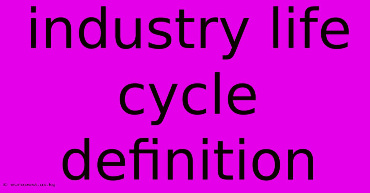 Industry Life Cycle Definition