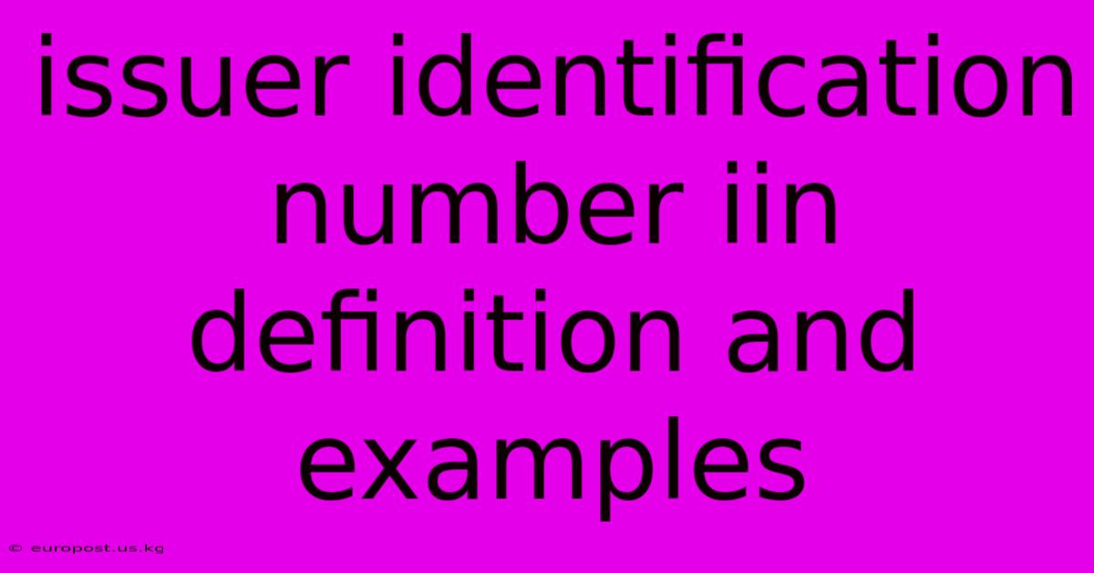 Issuer Identification Number Iin Definition And Examples