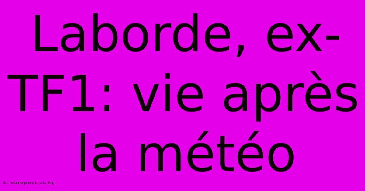 Laborde, Ex-TF1: Vie Après La Météo