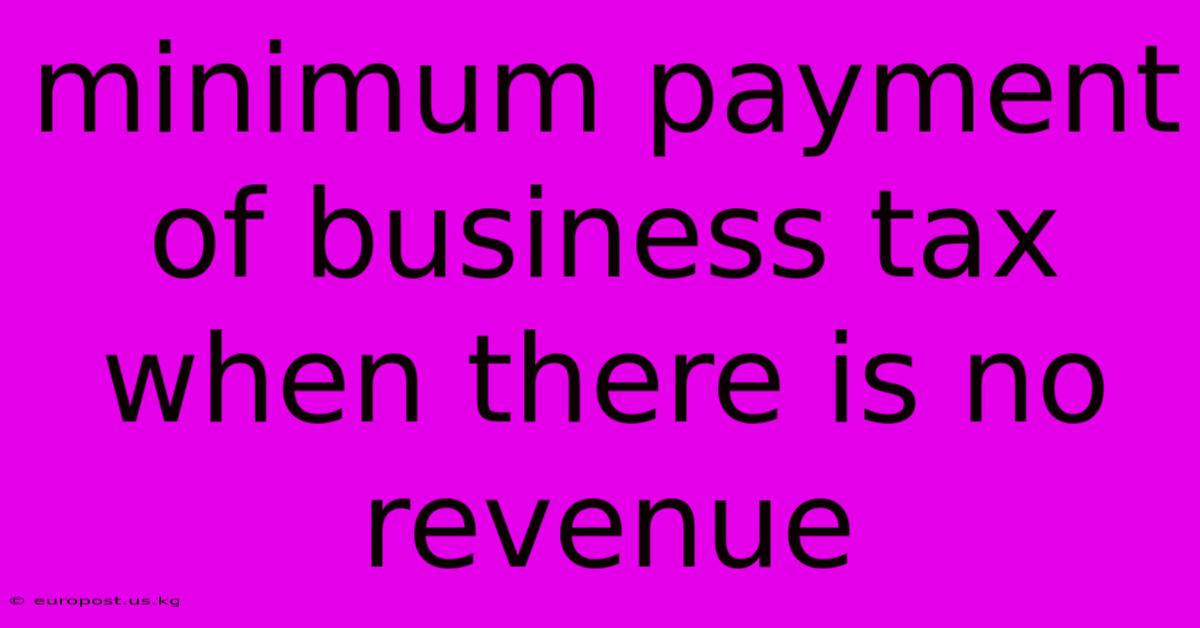 Minimum Payment Of Business Tax When There Is No Revenue