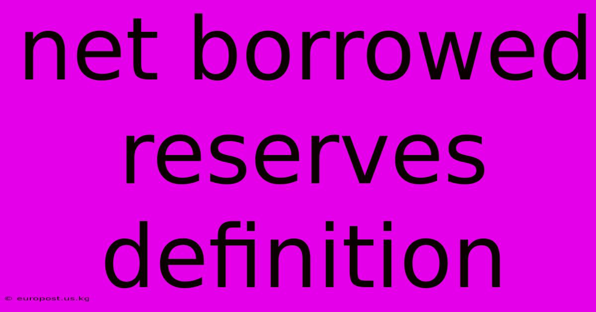 Net Borrowed Reserves Definition