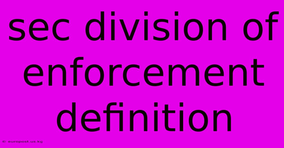 Sec Division Of Enforcement Definition