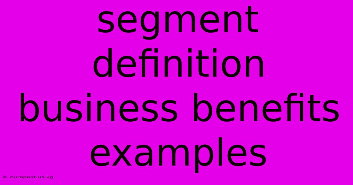 Segment Definition Business Benefits Examples