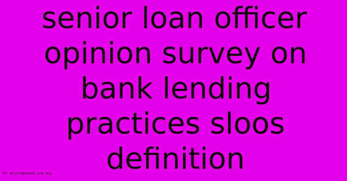 Senior Loan Officer Opinion Survey On Bank Lending Practices Sloos Definition