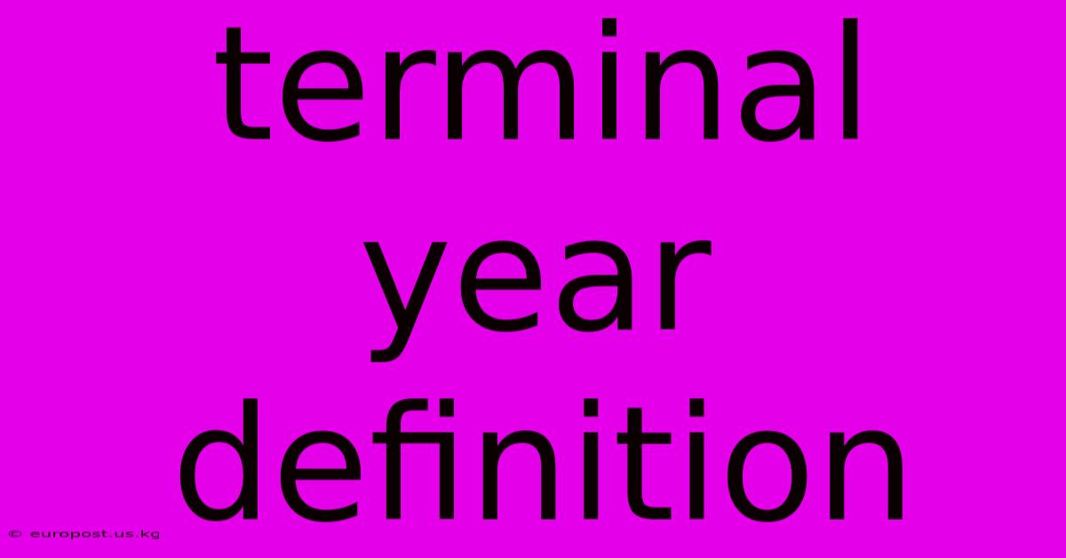 Terminal Year Definition