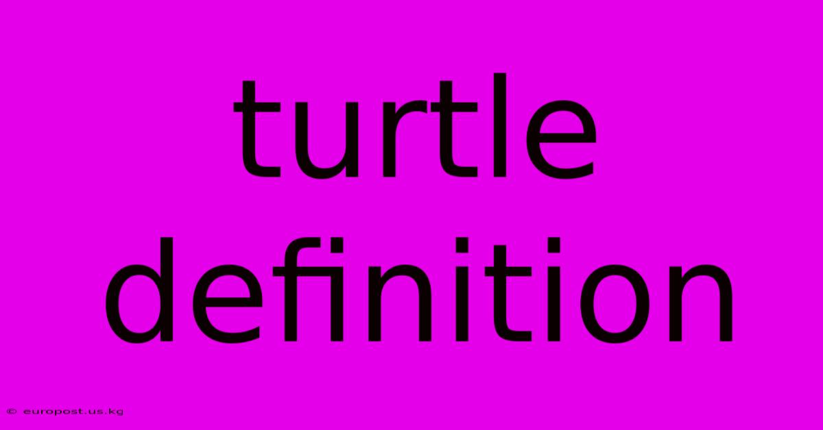 Turtle Definition