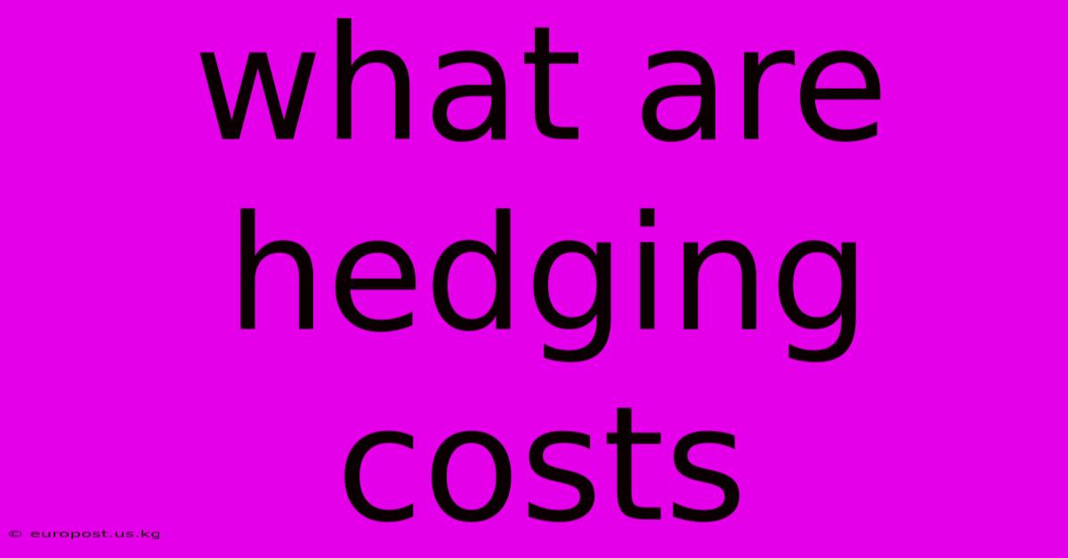 What Are Hedging Costs