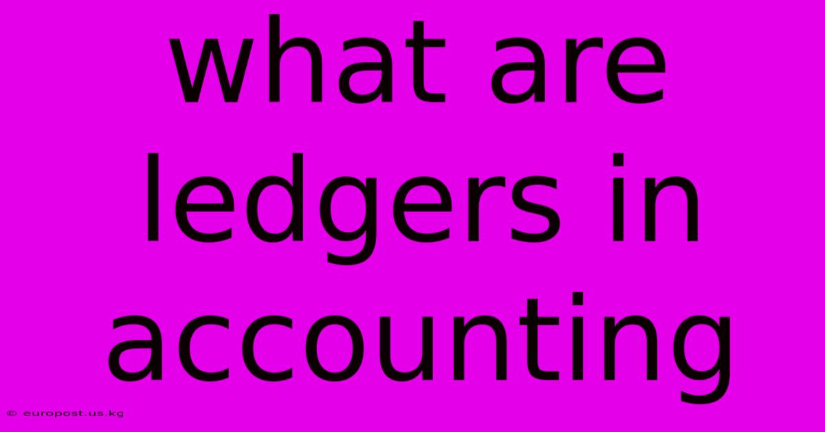 What Are Ledgers In Accounting