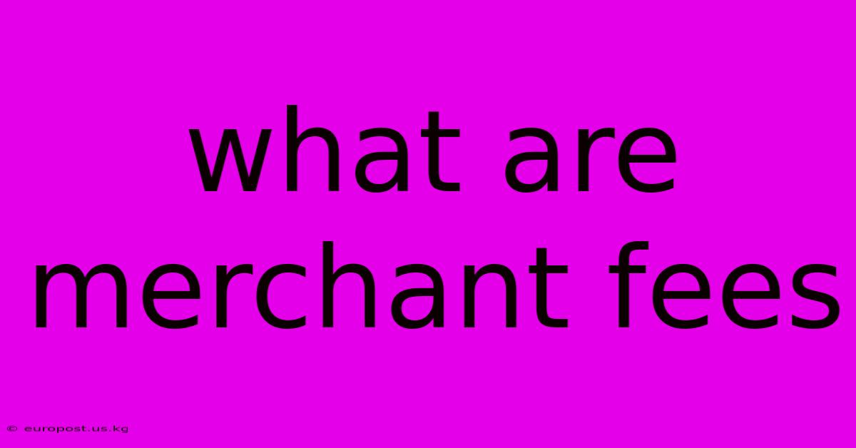 What Are Merchant Fees