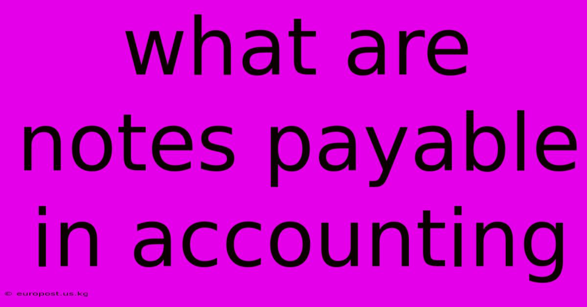 What Are Notes Payable In Accounting