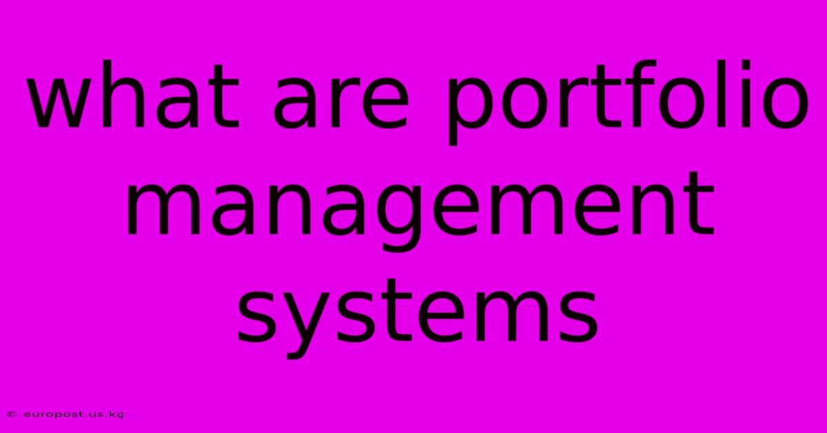 What Are Portfolio Management Systems