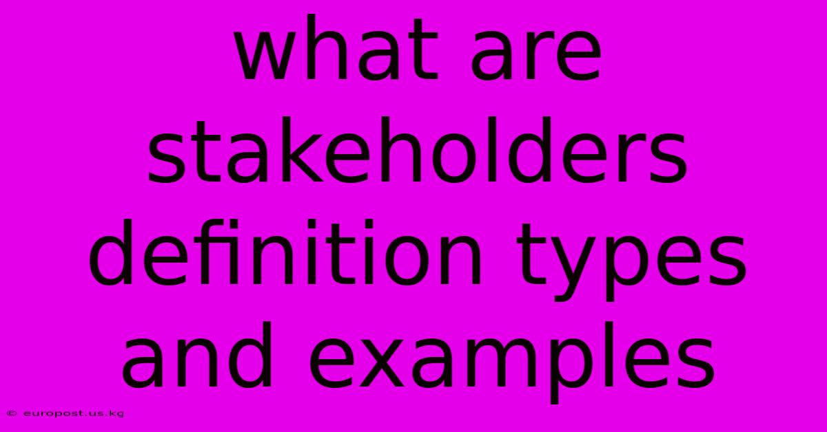 What Are Stakeholders Definition Types And Examples