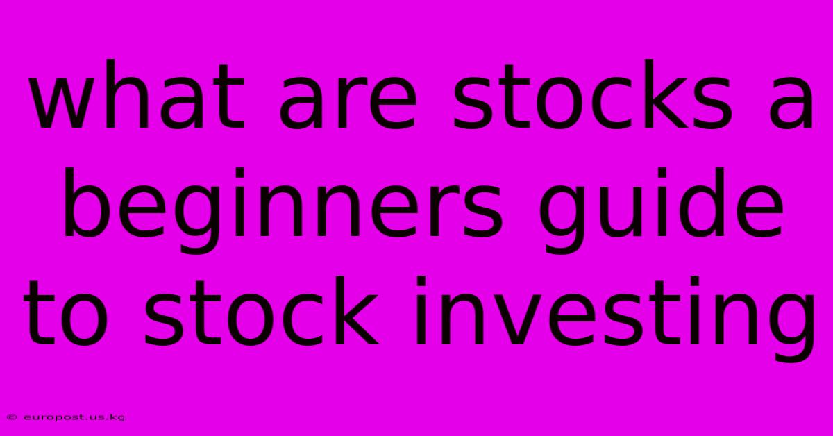 What Are Stocks A Beginners Guide To Stock Investing