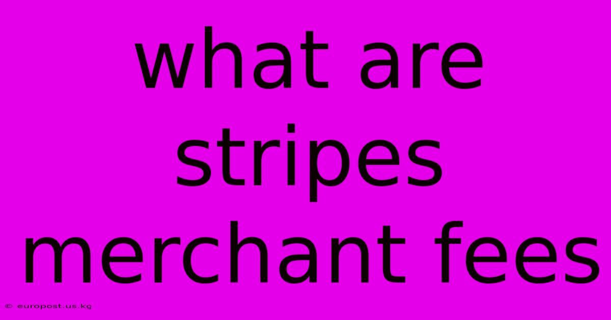 What Are Stripes Merchant Fees