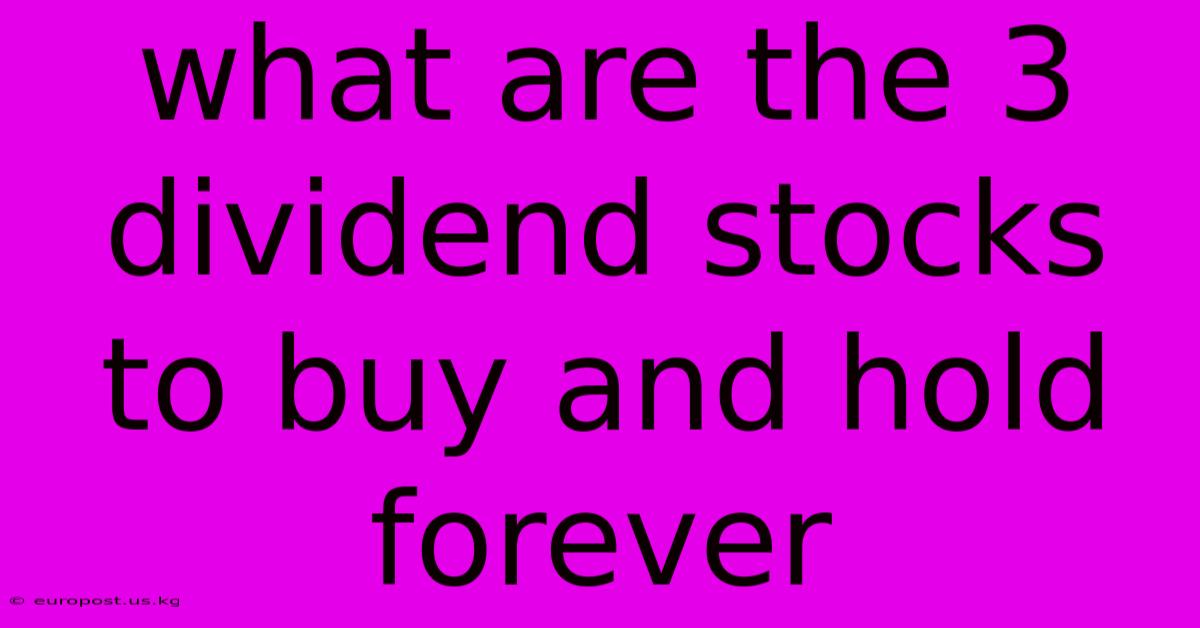 What Are The 3 Dividend Stocks To Buy And Hold Forever