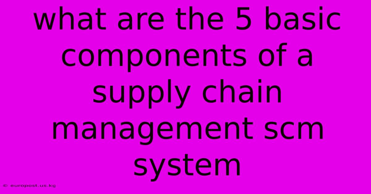 What Are The 5 Basic Components Of A Supply Chain Management Scm System