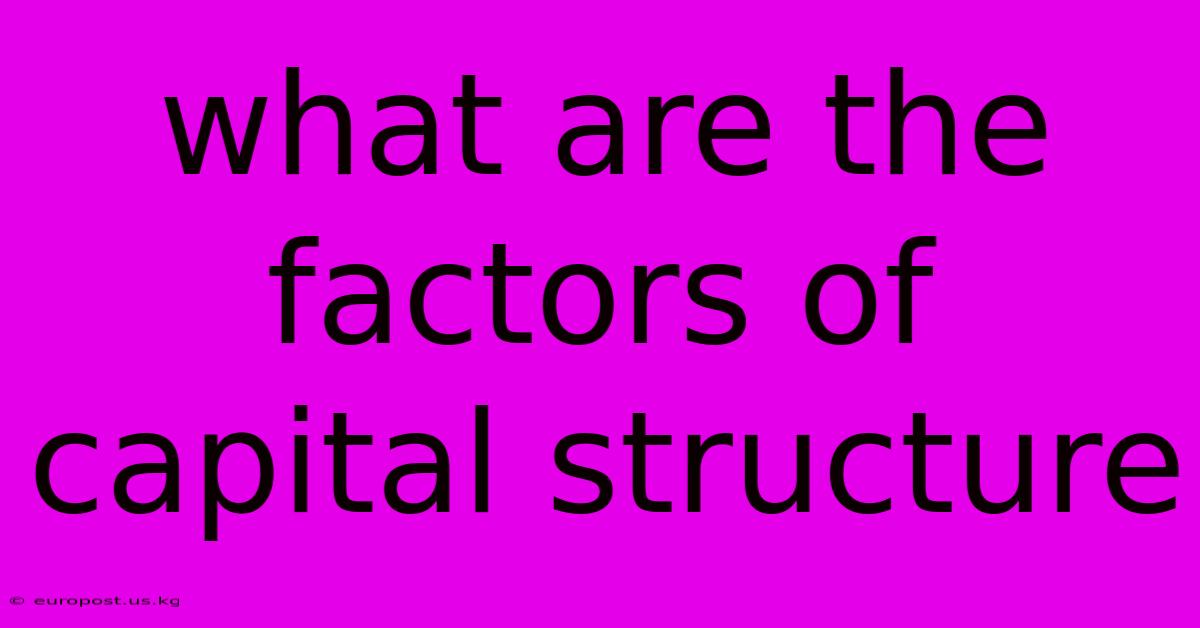 What Are The Factors Of Capital Structure