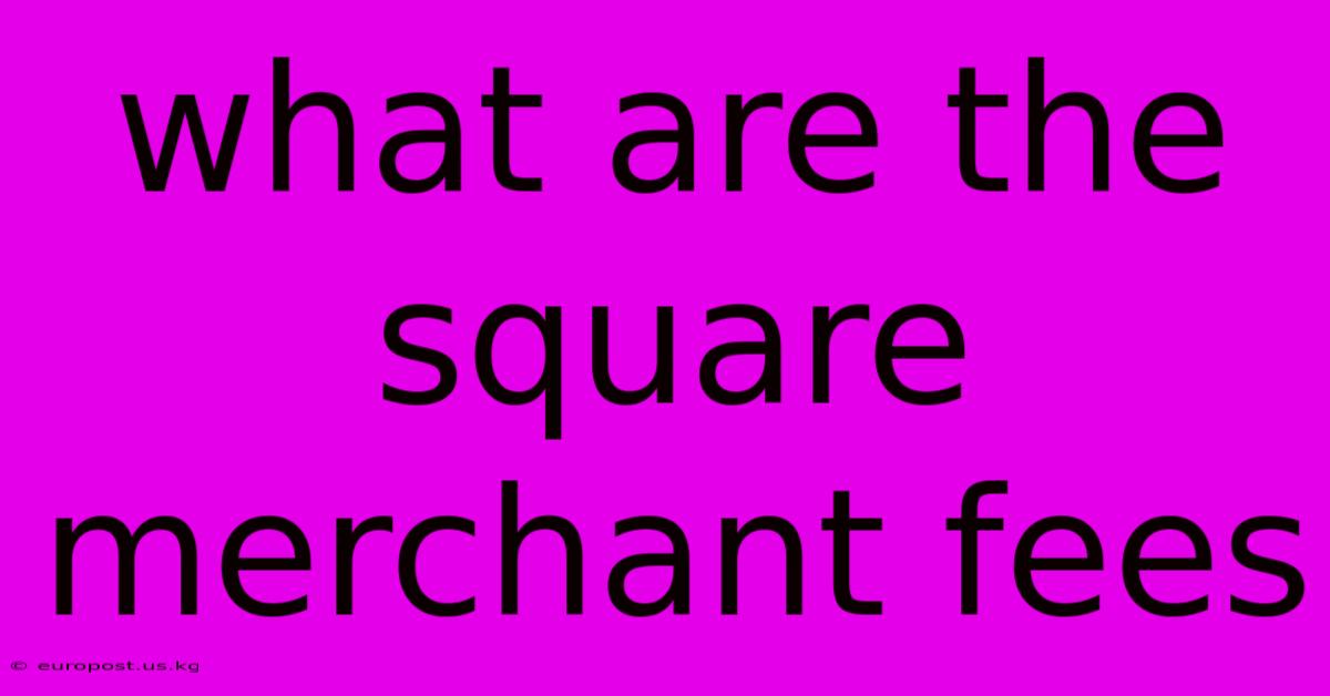 What Are The Square Merchant Fees