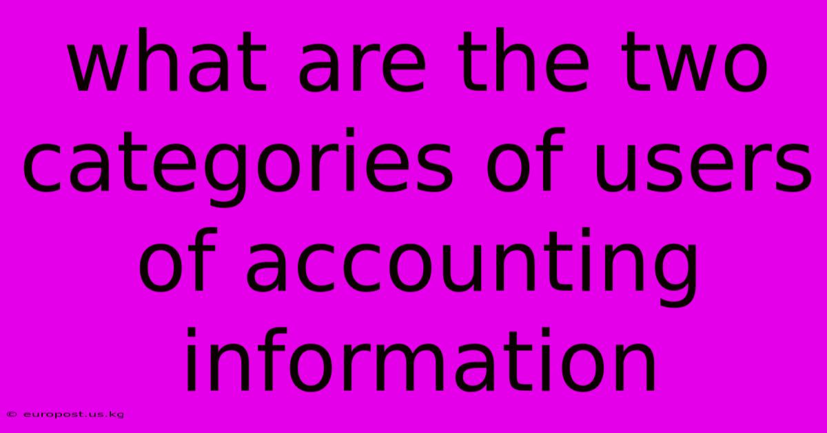 What Are The Two Categories Of Users Of Accounting Information