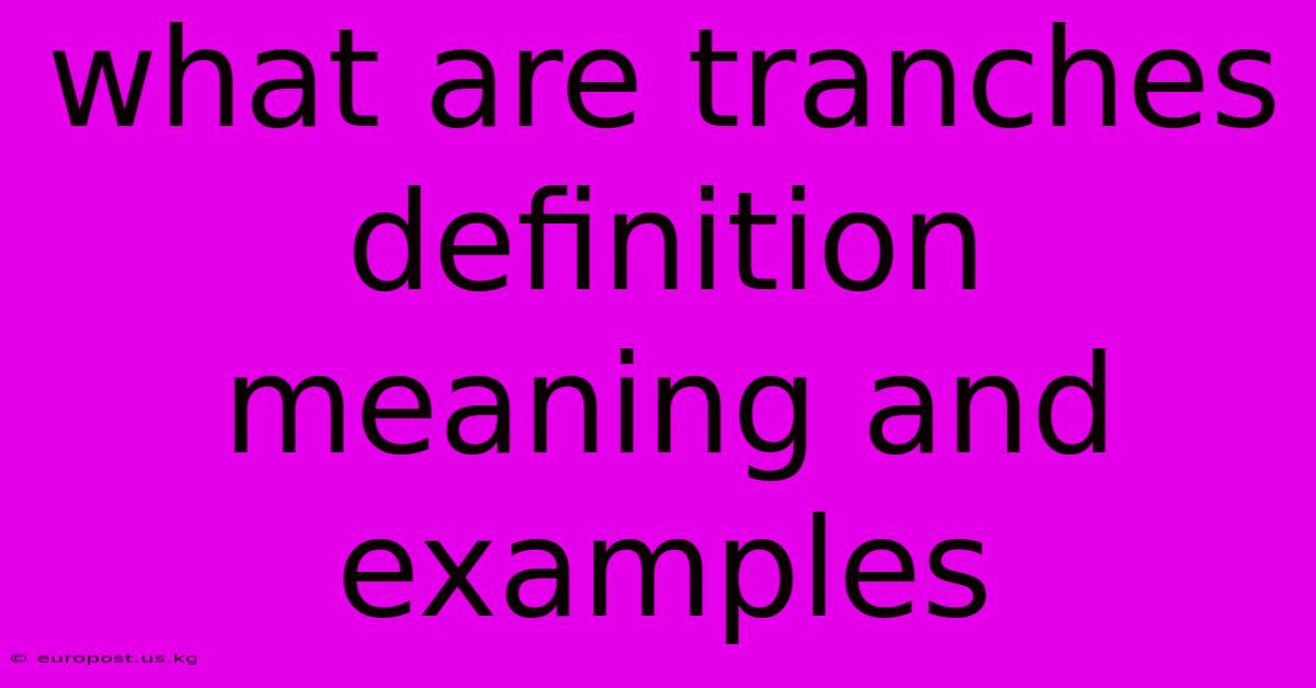 What Are Tranches Definition Meaning And Examples