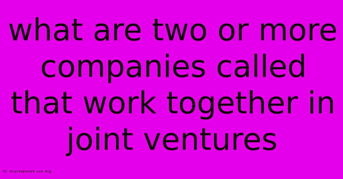 What Are Two Or More Companies Called That Work Together In Joint Ventures