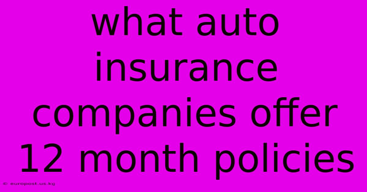 What Auto Insurance Companies Offer 12 Month Policies