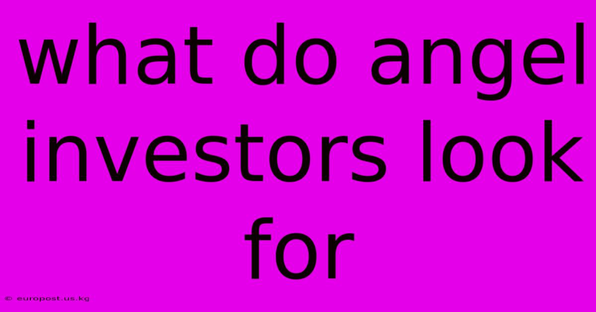 What Do Angel Investors Look For