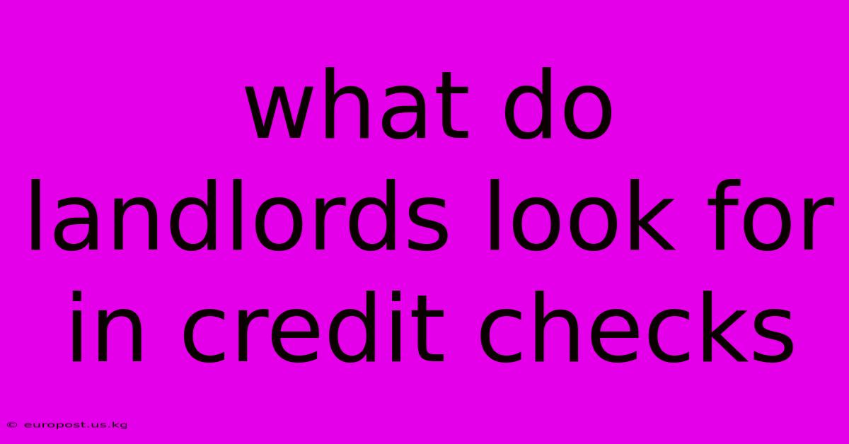 What Do Landlords Look For In Credit Checks