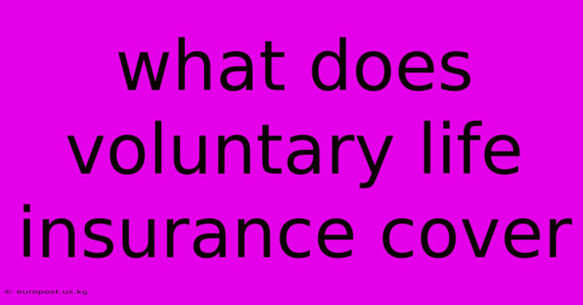 What Does Voluntary Life Insurance Cover