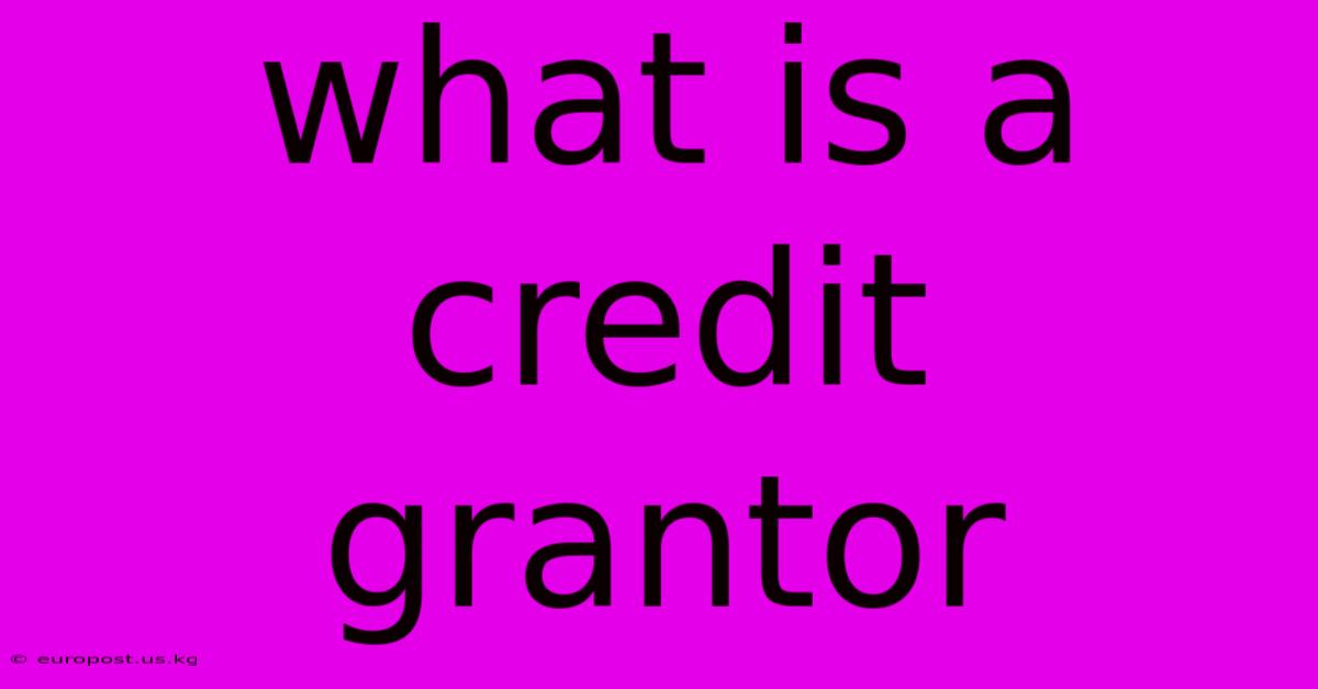 What Is A Credit Grantor