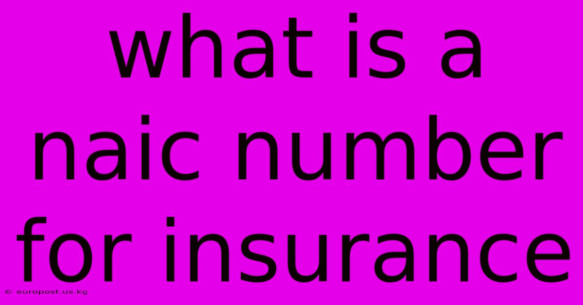 What Is A Naic Number For Insurance